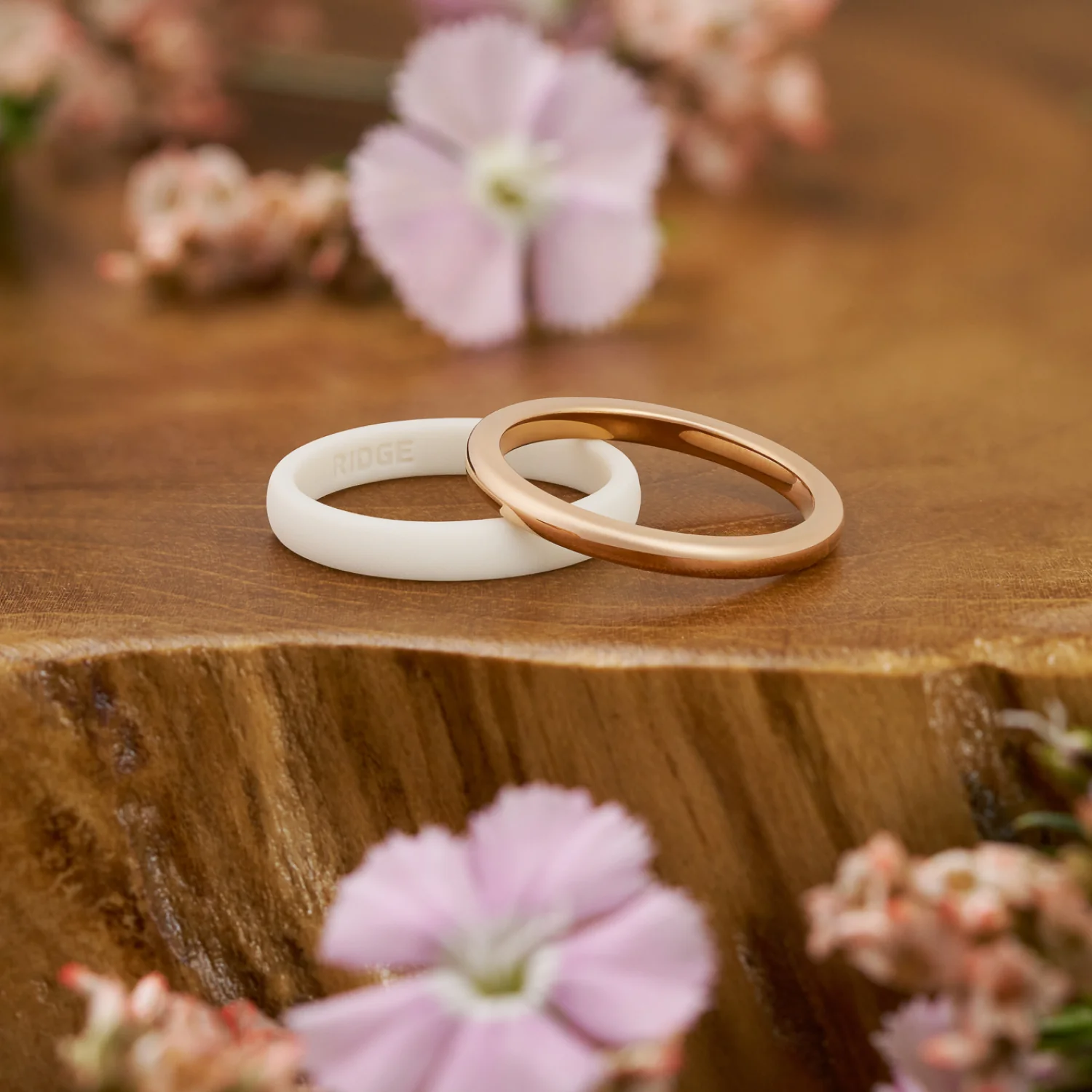 2mm Rounded Ring Set - 14K Rose Gold - Image 5