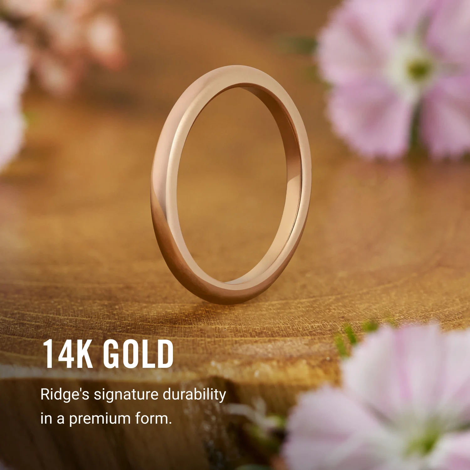 2mm Rounded Ring Set - 14K Rose Gold - Image 8